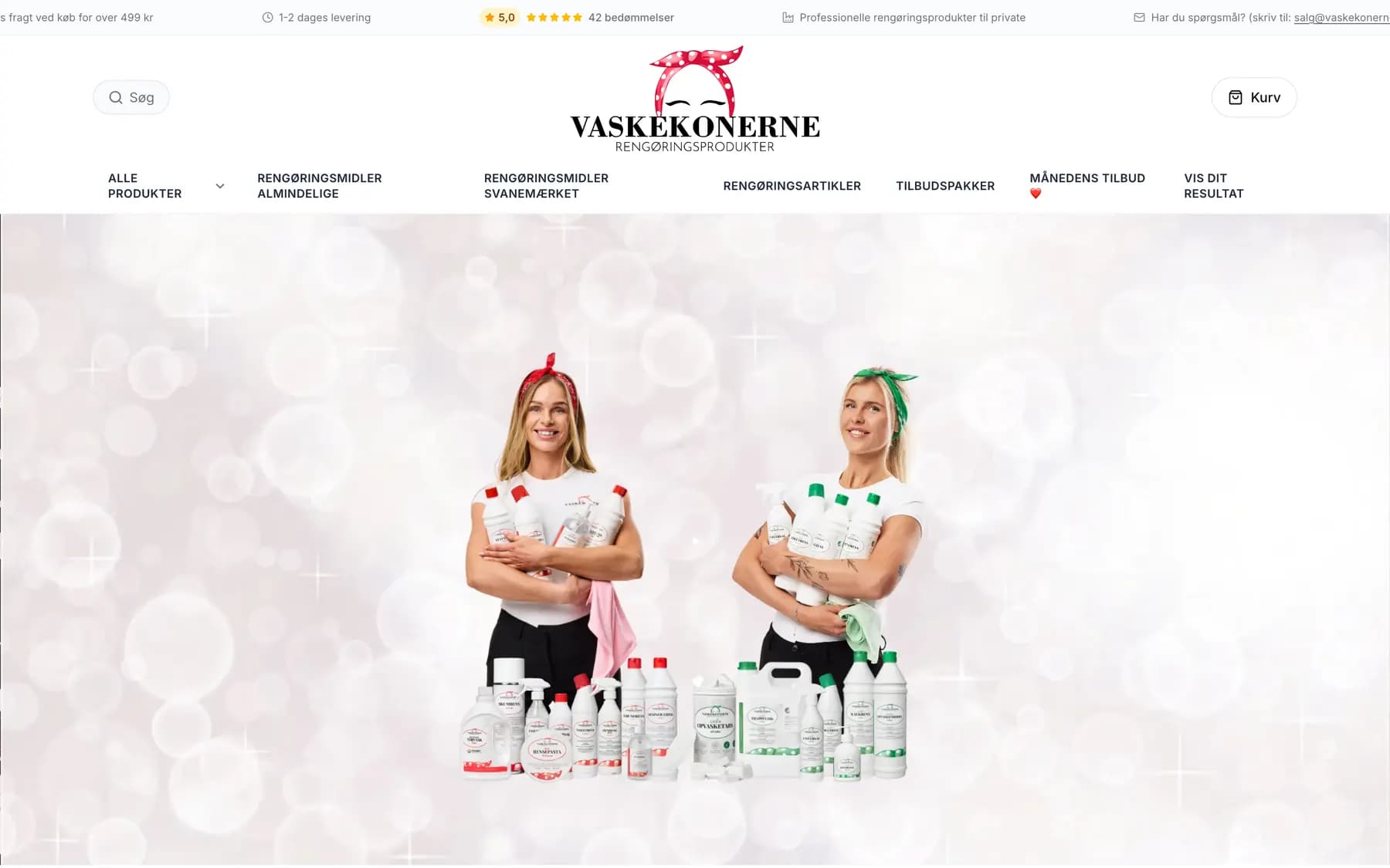 Vaskekonerne Rengøringsprodukter — Skærmbillede fra det live site